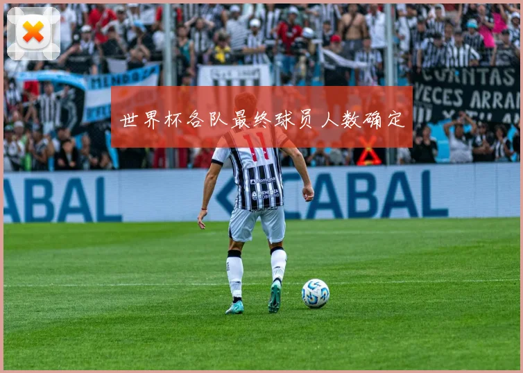 世界杯各队最终球员人数确定