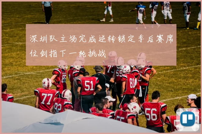 深圳队主场完成逆转锁定季后赛席位剑指下一轮挑战